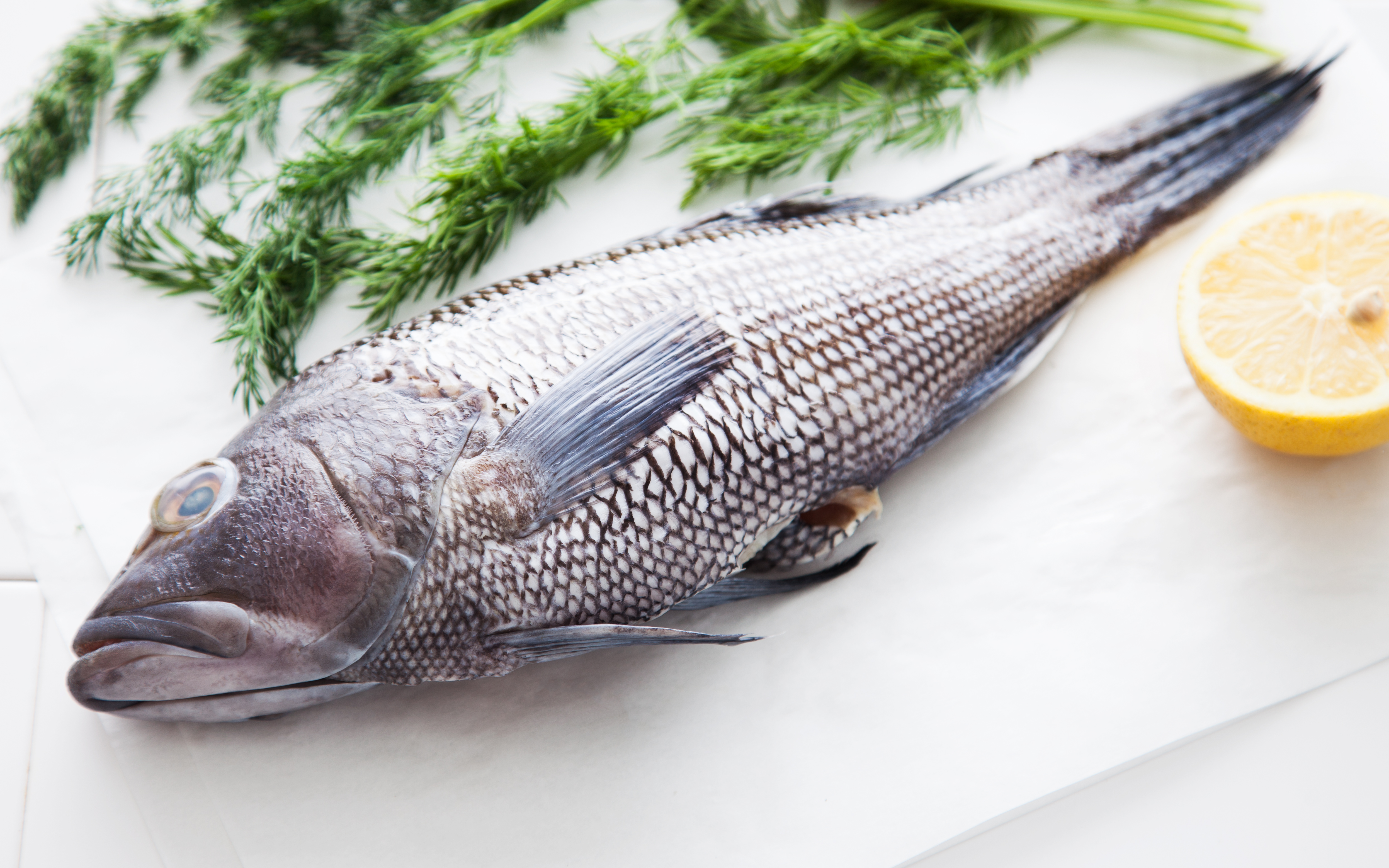 Fresh Whole Black Rockfish - Two X Sea - SF Bay | Good Eggs